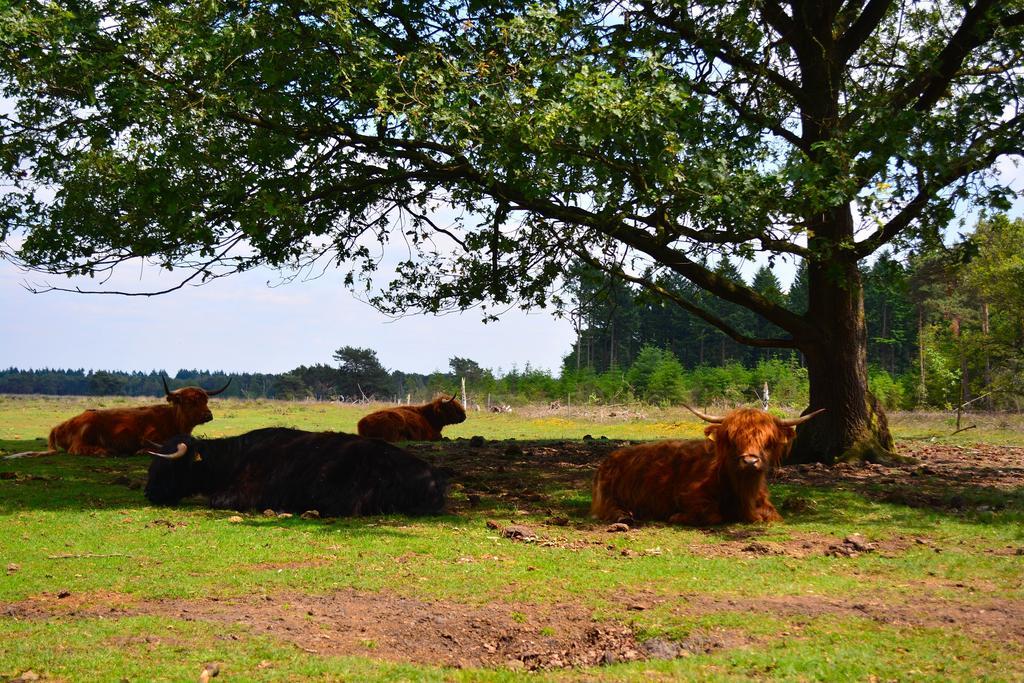 B&B Leendershoeve In Heusden Asten Buitenkant foto