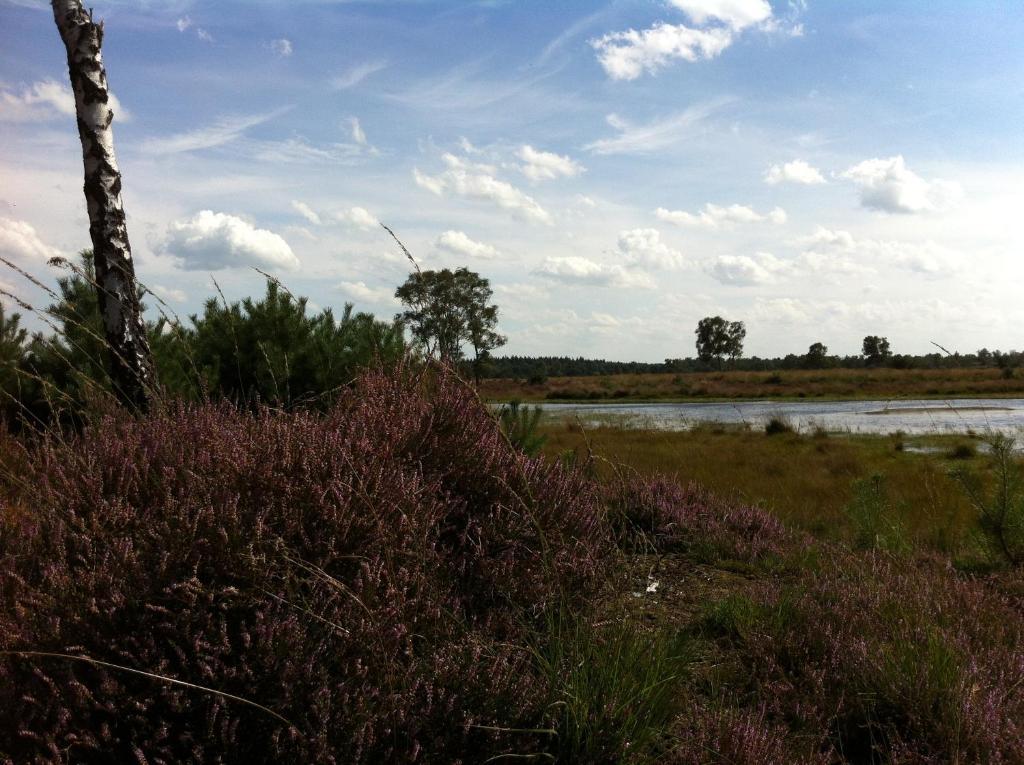 B&B Leendershoeve In Heusden Asten Buitenkant foto