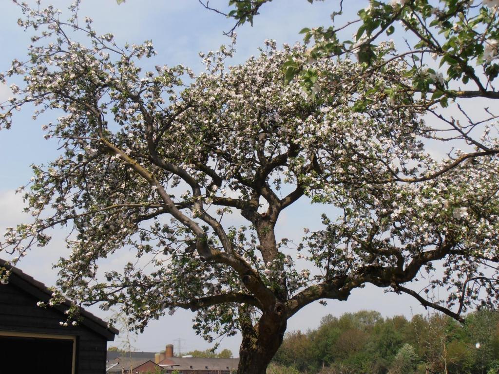 B&B Leendershoeve In Heusden Asten Buitenkant foto